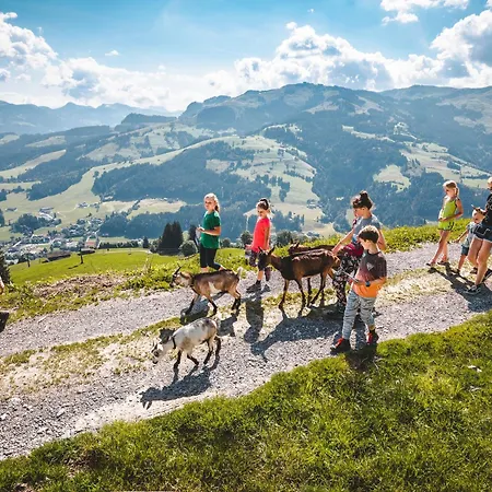 Straif By Interhome Kirchberg in Tirol